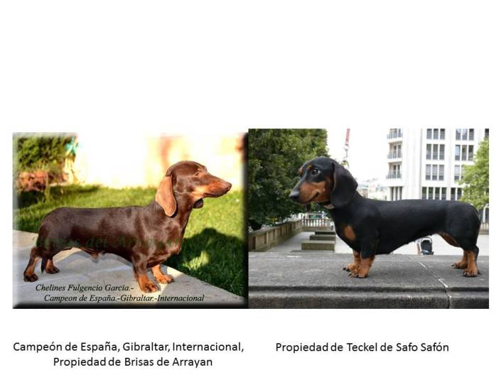 Nuria de Ruifer y Belinda ( Vilma)3