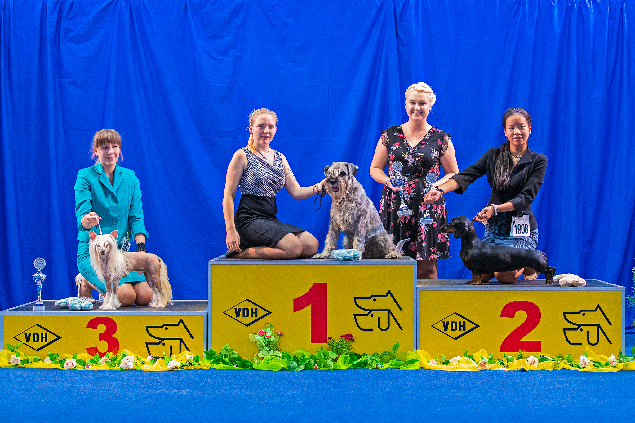 CG180381-Juniorhandling-AK2