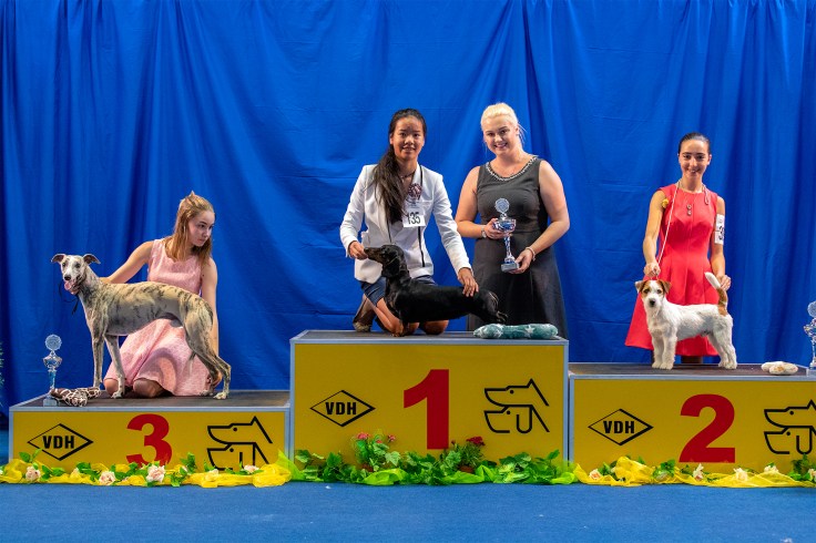 CG183404-Juniorhandling-AK2