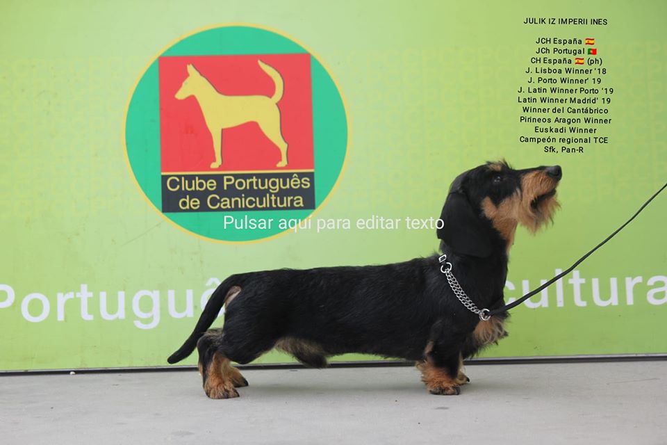 69137349_2477562165626741_3197678803425951744_o