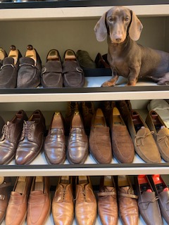 bruno en el zapatero